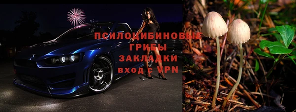 мет Новозыбков