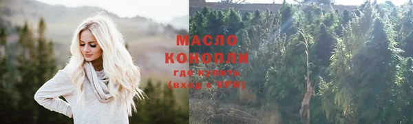 мет Новозыбков
