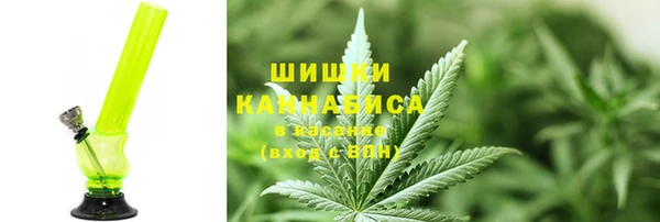 прущие крисы Няндома