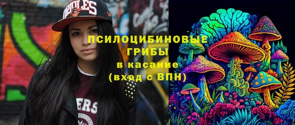 прущие крисы Няндома