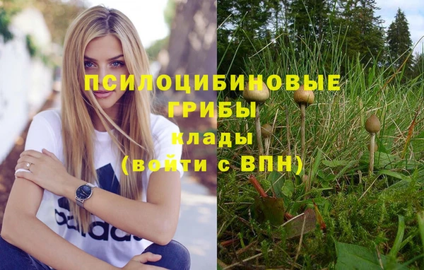 первитин Абдулино