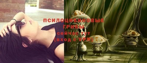 прущие крисы Няндома