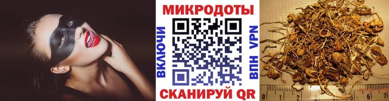 Псилоцибиновые грибы MAGIC MUSHROOMS  где купить наркоту  Западная Двина 