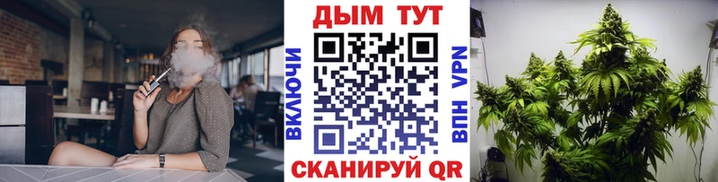 Бошки Шишки сатива Западная Двина